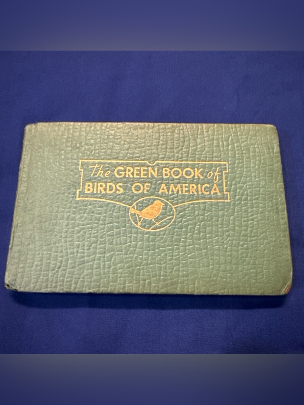 The Green Book Birds of America 1931 Ashbrook Pocket Size Book Illustrated